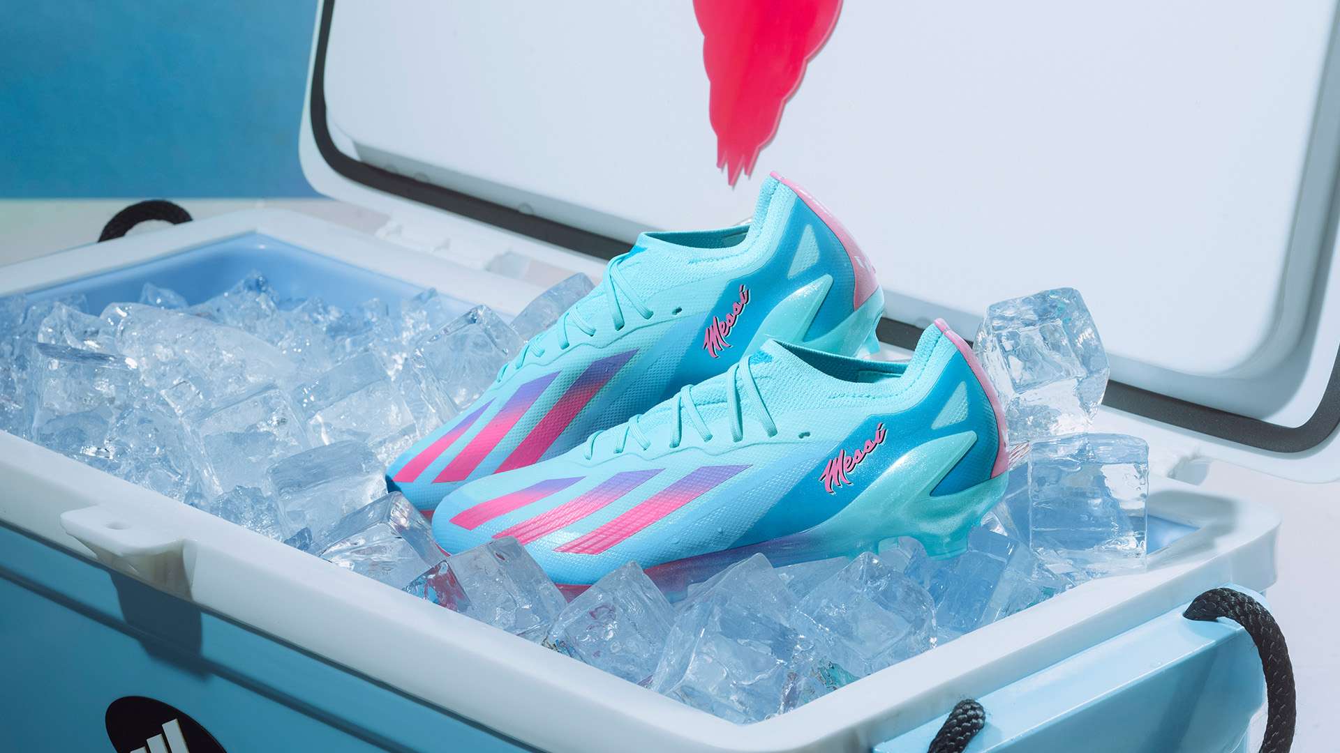 核心表现的 核心表现的